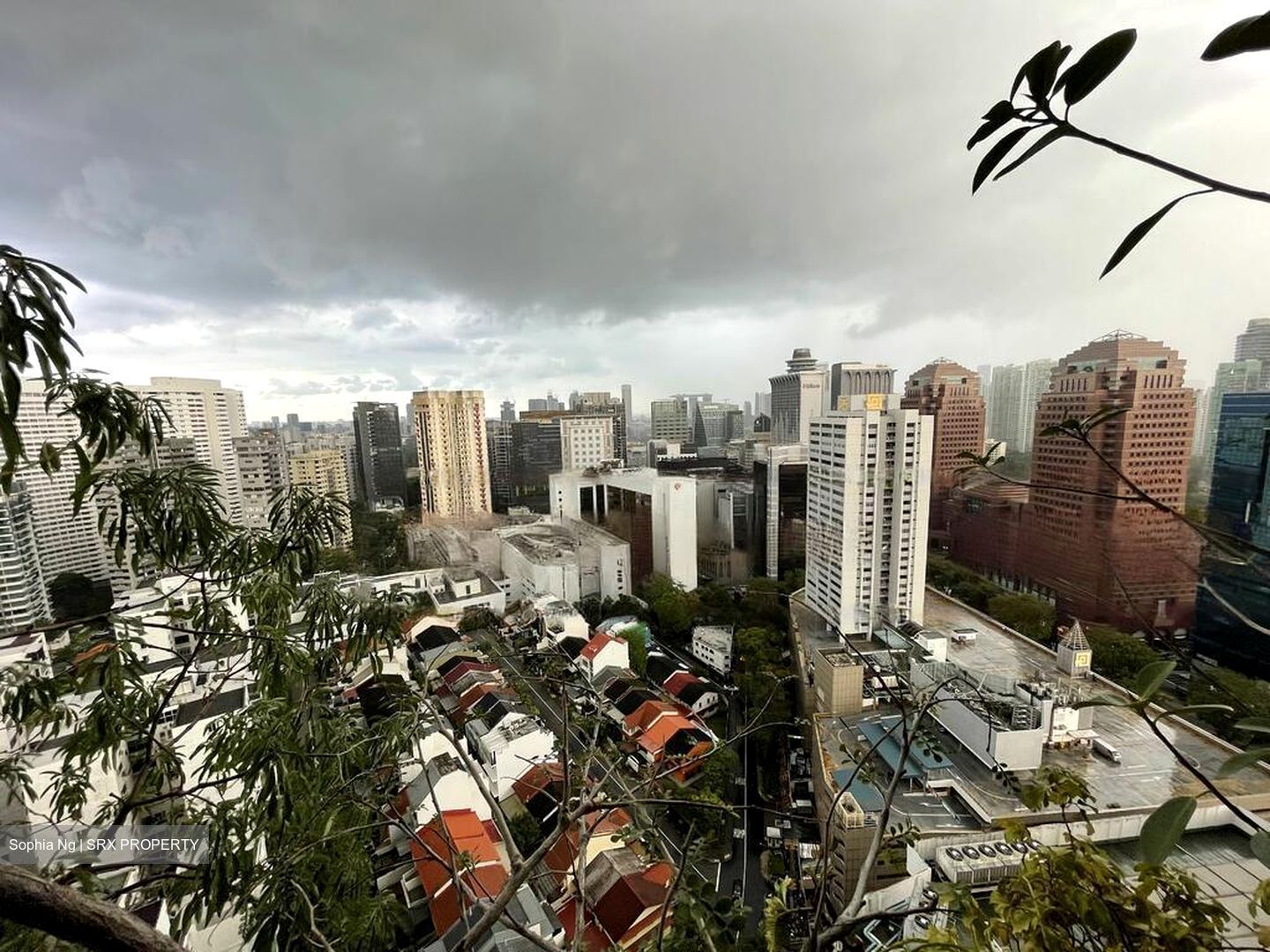 Scotts Square (D9), Apartment #465951951